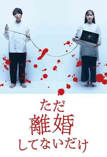 We Are Just Not Divorced poster