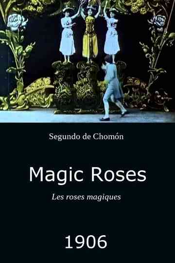 Magic Roses Poster
