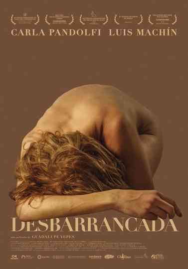 Desbarrancada Poster