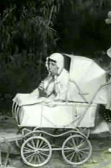 The Two Foxes Poster