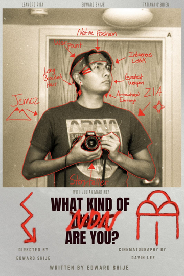 What Kind of NDN Are You? Poster