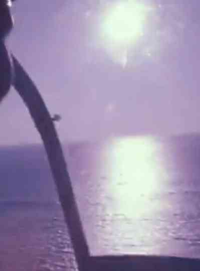 Christo Running Fence Reels: Charlie I Poster