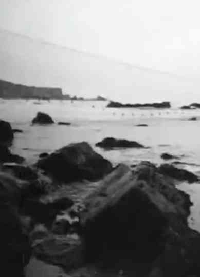 Christo Running Fence Reels: Charlie II Poster