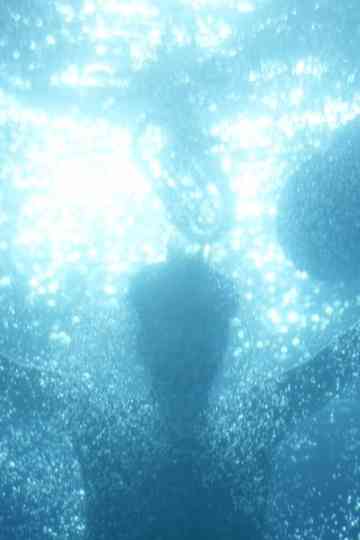 Les Rêves du Plongeur Poster