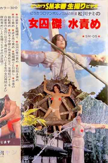 SM Monster: Nami Matsukawa's Female Prisoner Crucifixion Water Torture Poster