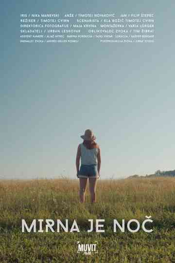 Tender is the Night Poster