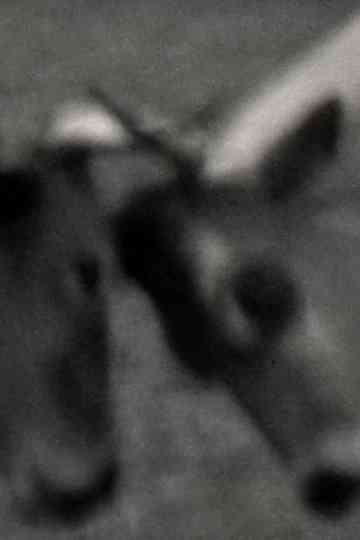 Videogramas #5 Poster