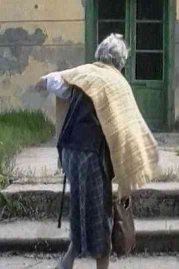 The Notebook of a Lady Poster