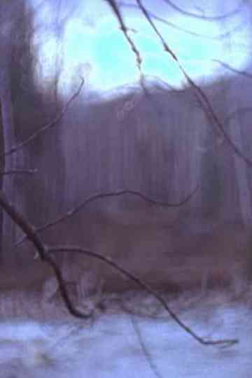 Seeking Sunlight Poster