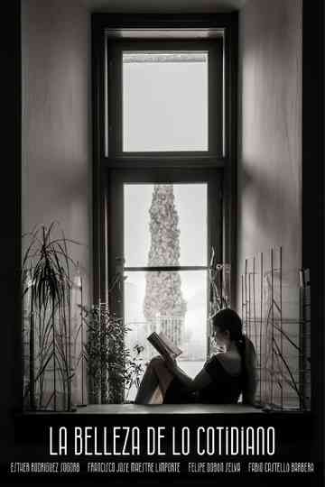 La Belleza de lo Cotidiano Poster