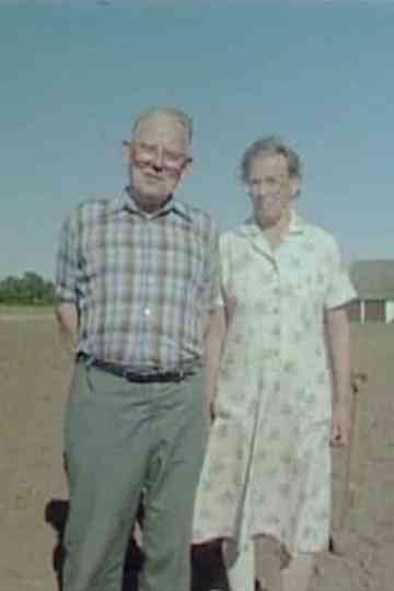 Felix Potato Strips Poster