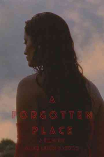 A Forgotten Place Poster
