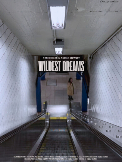 Wildest Dreams Poster