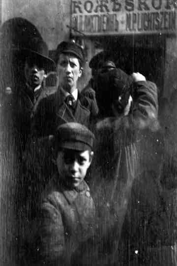 Zorn bakom kameran Poster