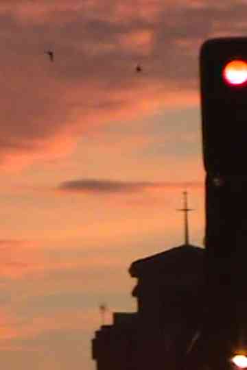 Películas de carretera. El tráfico u otras formas de organizar la vida Poster