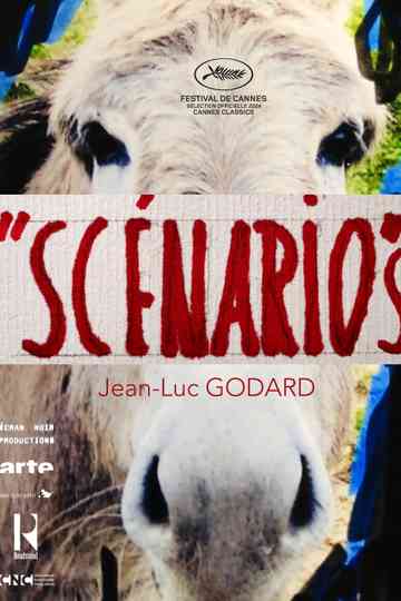 Exposé du film annonce du film "Scénario" Poster