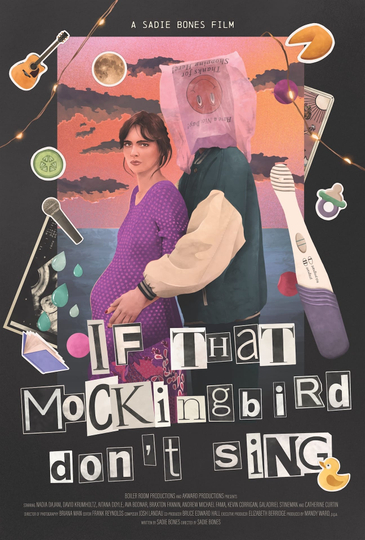 If That Mockingbird Don’t Sing Poster