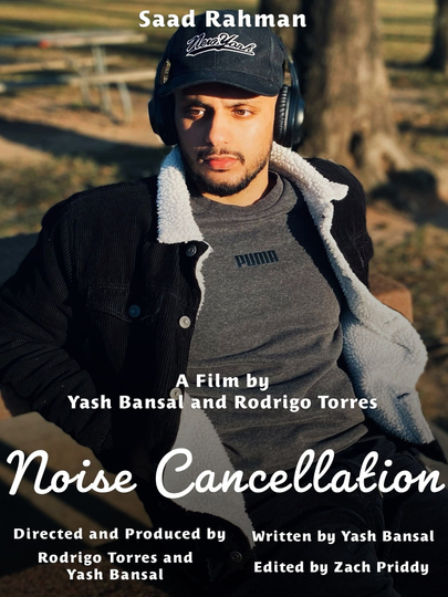 Noise Cancellation Poster