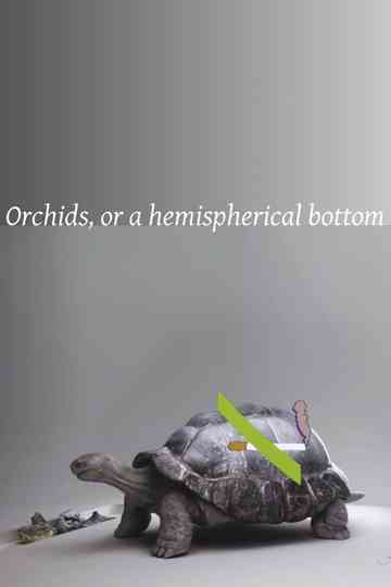 Orchids, or a hemispherical bottom Poster