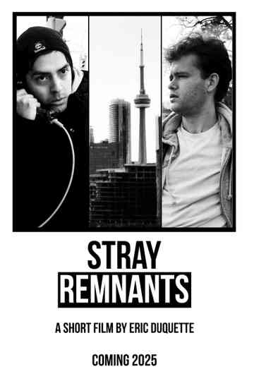 Stray Remnants Poster