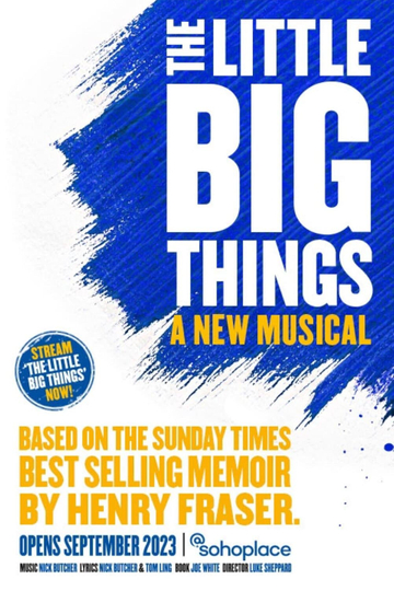 The Little Big Things Poster