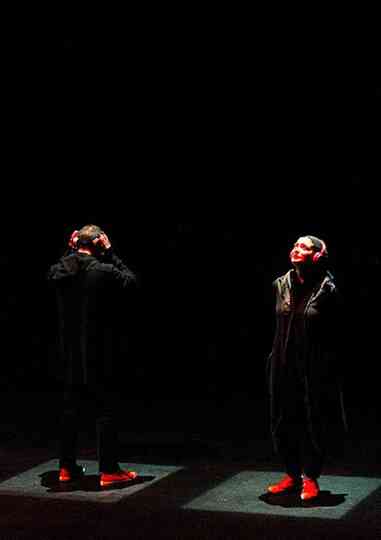 From the Basement to the Roof Poster