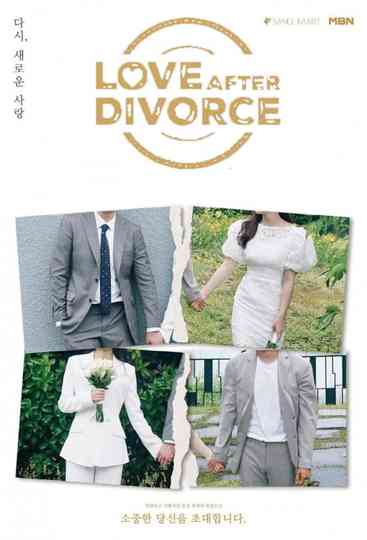Love After Divorce Poster