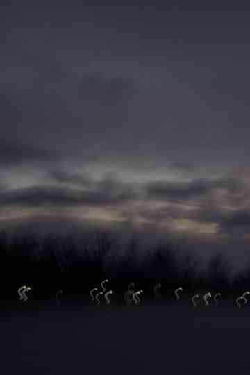 i heard the geese cry Poster