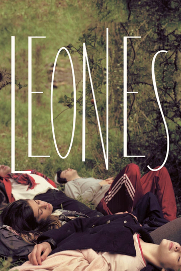 Lions Poster