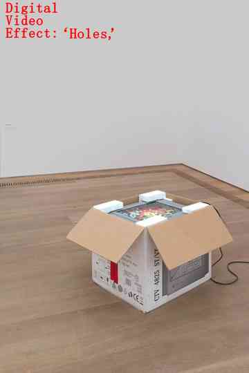 Digital Video Effect: ‘Holes,’ Poster