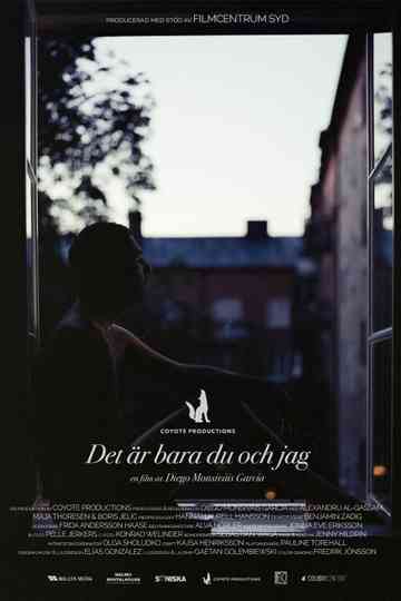 Det är bara du och jag Poster