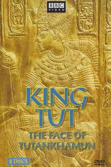 The Face of Tutankhamun Poster