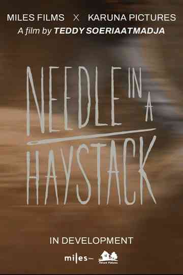 Needle In A Haystack Poster