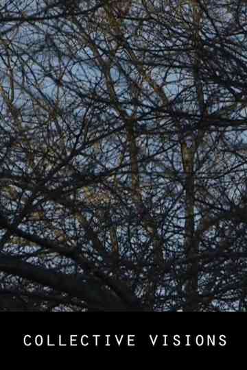 Collective Visions Poster