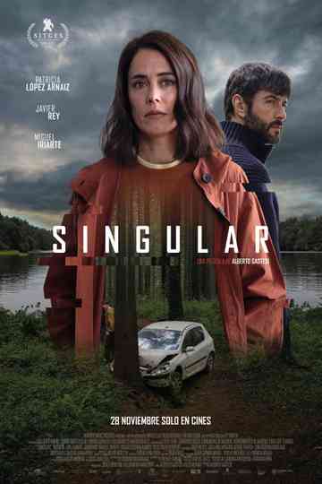 Singular Poster