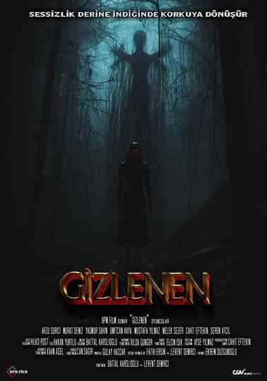 Gizlenen Poster