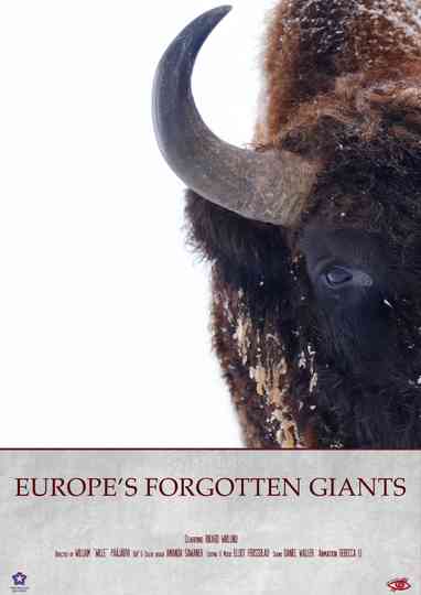 Europe's Forgotten Giants Poster