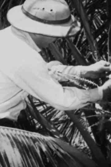 Álbum Cinematográfico de Sergipe Poster