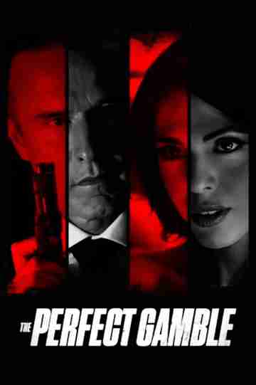 The Perfect Gamble Poster