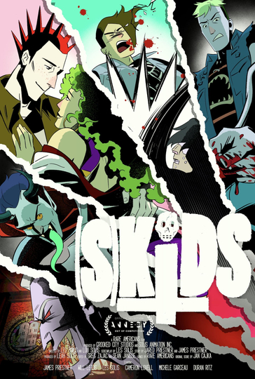 (S)KiDS Poster