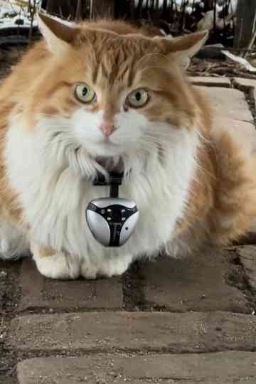 Must Have Meant Poster