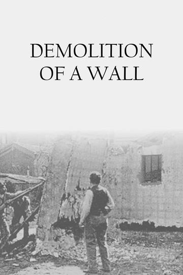 Demolition of a Wall