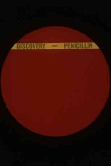 The Discovery of Penicillin Poster