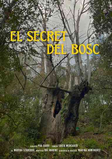El Secret del Bosc Poster