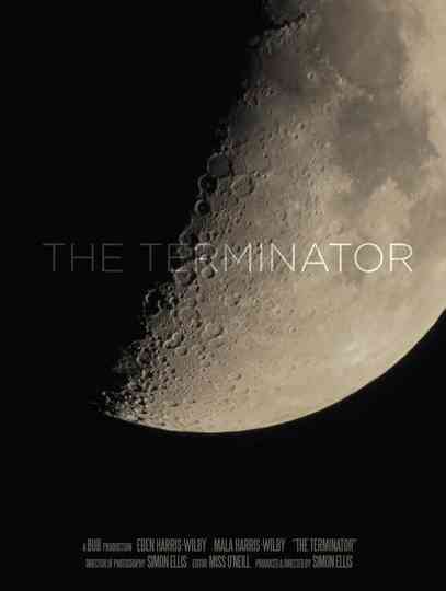 The Terminator Poster