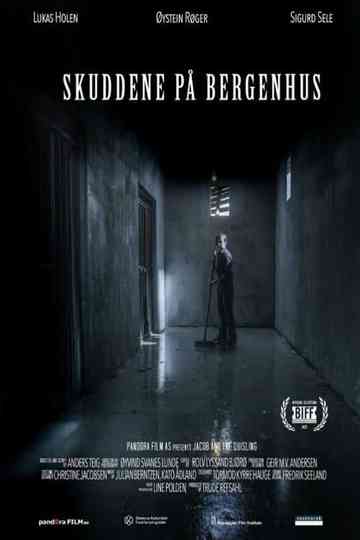 The Shots at Bergenhus Poster