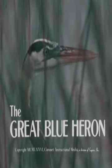 The Great Blue Heron Poster