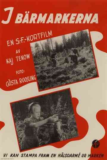 In the Berry Fields Poster