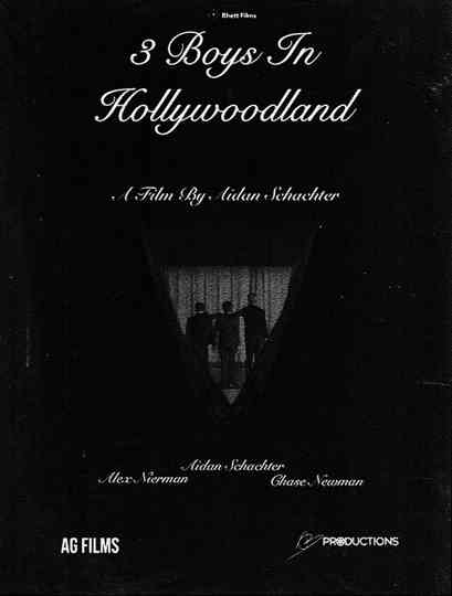 3 Boys In Hollywoodland Poster