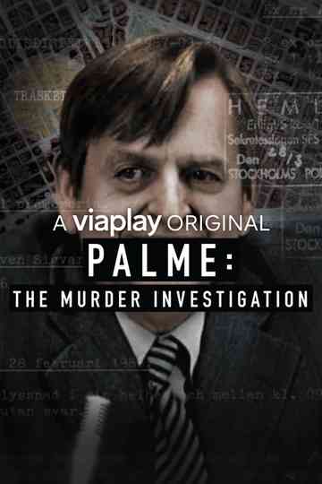 Palme: The Murder Investigation poster